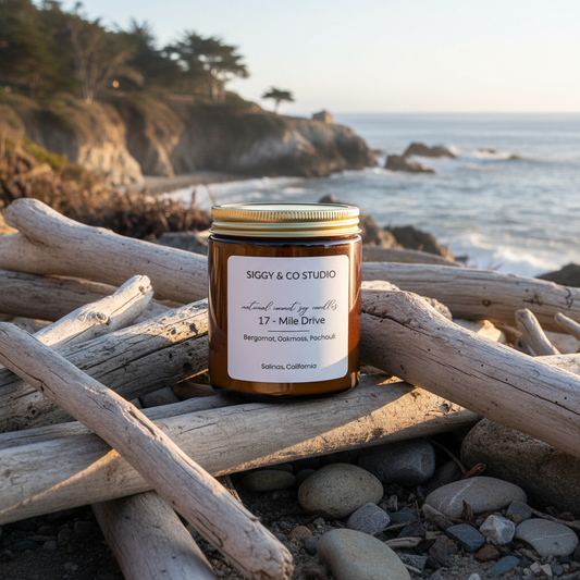 17-Mile Drive Outdoor Lifestyle Photography