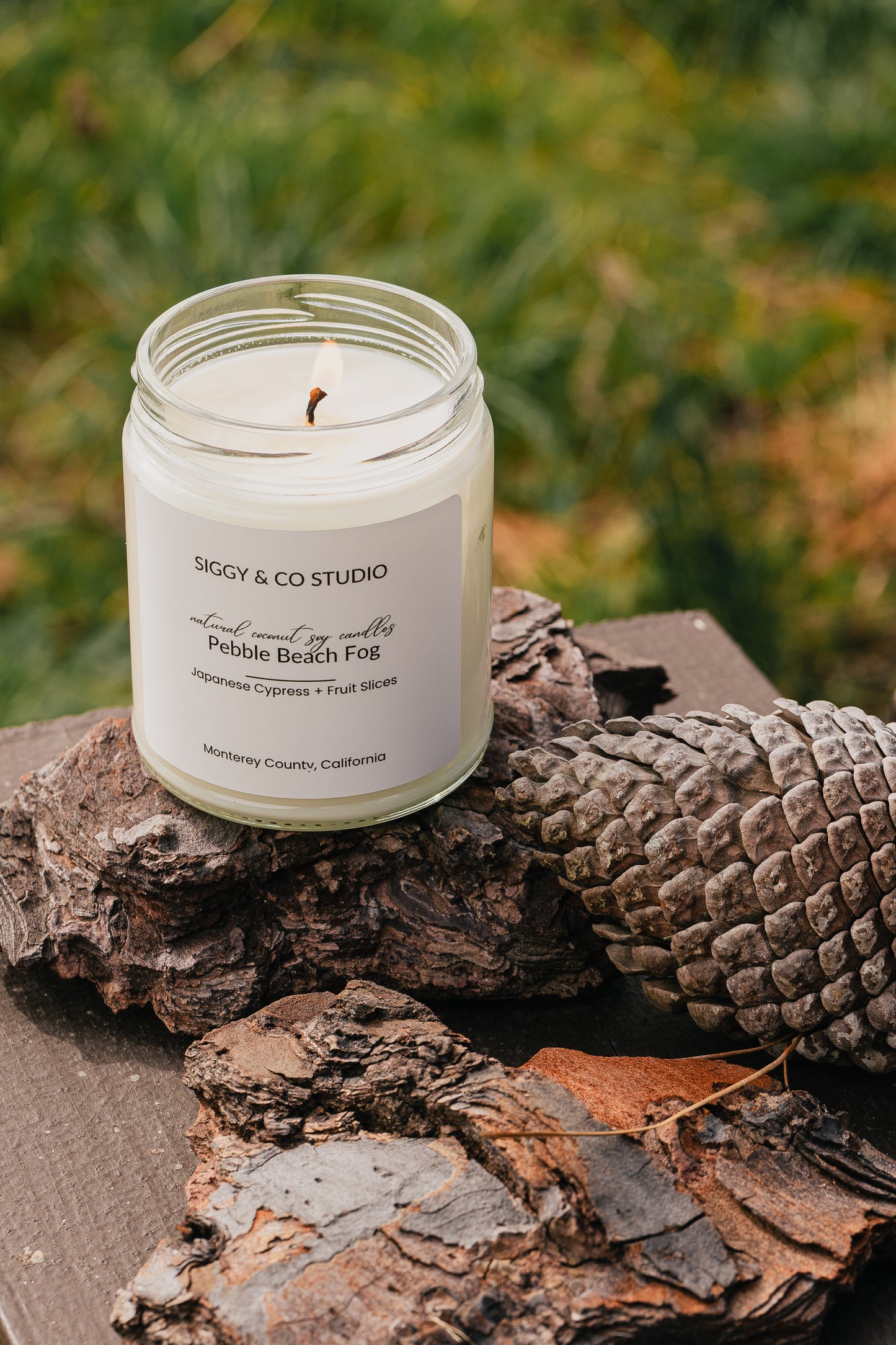 Monterey Mist- Sugar Pine & Pachouli Coconut Soy Scented Candle