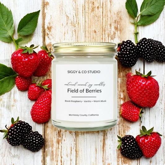 Field of Berries- Black Raspberry- Vanilla •Warm Musk